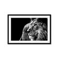Picture of The Big Cat _GroupedProduct_Rectangle_Landscape_Photography _GroupedProduct_Rectangle_Landscape_Framed_Matted_