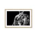 Picture of The Big Cat _GroupedProduct_Rectangle_Landscape_Photography _GroupedProduct_Rectangle_Landscape_Framed_Matted_