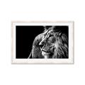 Picture of The Big Cat _GroupedProduct_Rectangle_Landscape_Photography _GroupedProduct_Rectangle_Landscape_Framed_Matted_