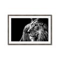 Picture of The Big Cat _GroupedProduct_Rectangle_Landscape_Photography _GroupedProduct_Rectangle_Landscape_Framed_Matted_