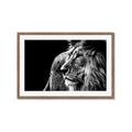 Picture of The Big Cat _GroupedProduct_Rectangle_Landscape_Photography _GroupedProduct_Rectangle_Landscape_Framed_Matted_