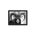 Picture of The Ram _GroupedProduct_Rectangle_Landscape_Photography _GroupedProduct_Rectangle_Landscape_Framed_Matted_