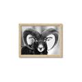 Picture of The Ram _GroupedProduct_Rectangle_Landscape_Photography _GroupedProduct_Rectangle_Landscape_Framed_Matted_