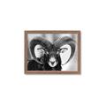 Picture of The Ram _GroupedProduct_Rectangle_Landscape_Photography _GroupedProduct_Rectangle_Landscape_Framed_Matted_
