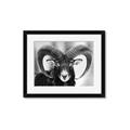 Picture of The Ram _GroupedProduct_Rectangle_Landscape_Photography _GroupedProduct_Rectangle_Landscape_Framed_Matted_