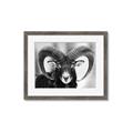 Picture of The Ram _GroupedProduct_Rectangle_Landscape_Photography _GroupedProduct_Rectangle_Landscape_Framed_Matted_