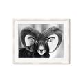 Picture of The Ram _GroupedProduct_Rectangle_Landscape_Photography _GroupedProduct_Rectangle_Landscape_Framed_Matted_