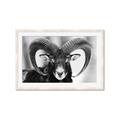 Picture of The Ram _GroupedProduct_Rectangle_Landscape_Photography _GroupedProduct_Rectangle_Landscape_Framed_Matted_