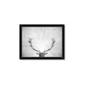 Picture of Forest King  _GroupedProduct_Rectangle_Landscape_Photography _GroupedProduct_Rectangle_Landscape_Framed_Matted_