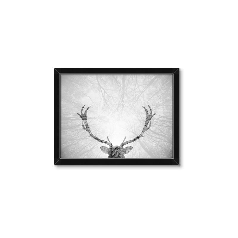 Picture of Forest King  _GroupedProduct_Rectangle_Landscape_Photography _GroupedProduct_Rectangle_Landscape_Framed_Matted_