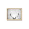 Picture of Forest King  _GroupedProduct_Rectangle_Landscape_Photography _GroupedProduct_Rectangle_Landscape_Framed_Matted_