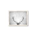 Picture of Forest King  _GroupedProduct_Rectangle_Landscape_Photography _GroupedProduct_Rectangle_Landscape_Framed_Matted_