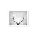 Picture of Forest King  _GroupedProduct_Rectangle_Landscape_Photography _GroupedProduct_Rectangle_Landscape_Framed_Matted_