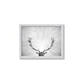 Picture of Forest King  _GroupedProduct_Rectangle_Landscape_Photography _GroupedProduct_Rectangle_Landscape_Framed_Matted_
