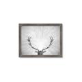 Picture of Forest King  _GroupedProduct_Rectangle_Landscape_Photography _GroupedProduct_Rectangle_Landscape_Framed_Matted_