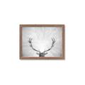 Picture of Forest King  _GroupedProduct_Rectangle_Landscape_Photography _GroupedProduct_Rectangle_Landscape_Framed_Matted_