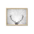 Picture of Forest King  _GroupedProduct_Rectangle_Landscape_Photography _GroupedProduct_Rectangle_Landscape_Framed_Matted_