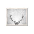 Picture of Forest King  _GroupedProduct_Rectangle_Landscape_Photography _GroupedProduct_Rectangle_Landscape_Framed_Matted_