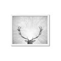 Picture of Forest King  _GroupedProduct_Rectangle_Landscape_Photography _GroupedProduct_Rectangle_Landscape_Framed_Matted_