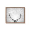 Picture of Forest King  _GroupedProduct_Rectangle_Landscape_Photography _GroupedProduct_Rectangle_Landscape_Framed_Matted_