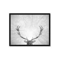 Picture of Forest King  _GroupedProduct_Rectangle_Landscape_Photography _GroupedProduct_Rectangle_Landscape_Framed_Matted_