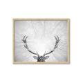 Picture of Forest King  _GroupedProduct_Rectangle_Landscape_Photography _GroupedProduct_Rectangle_Landscape_Framed_Matted_