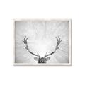 Picture of Forest King  _GroupedProduct_Rectangle_Landscape_Photography _GroupedProduct_Rectangle_Landscape_Framed_Matted_