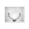 Picture of Forest King  _GroupedProduct_Rectangle_Landscape_Photography _GroupedProduct_Rectangle_Landscape_Framed_Matted_