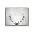 Picture of Forest King  _GroupedProduct_Rectangle_Landscape_Photography _GroupedProduct_Rectangle_Landscape_Framed_Matted_