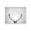 Picture of Forest King  _GroupedProduct_Rectangle_Landscape_Photography _GroupedProduct_Rectangle_Landscape_Framed_Matted_