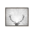 Picture of Forest King  _GroupedProduct_Rectangle_Landscape_Photography _GroupedProduct_Rectangle_Landscape_Framed_Matted_