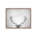 Picture of Forest King  _GroupedProduct_Rectangle_Landscape_Photography _GroupedProduct_Rectangle_Landscape_Framed_Matted_
