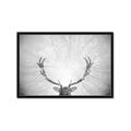 Picture of Forest King  _GroupedProduct_Rectangle_Landscape_Photography _GroupedProduct_Rectangle_Landscape_Framed_Matted_