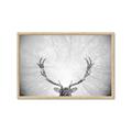 Picture of Forest King  _GroupedProduct_Rectangle_Landscape_Photography _GroupedProduct_Rectangle_Landscape_Framed_Matted_