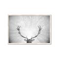 Picture of Forest King  _GroupedProduct_Rectangle_Landscape_Photography _GroupedProduct_Rectangle_Landscape_Framed_Matted_