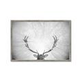Picture of Forest King  _GroupedProduct_Rectangle_Landscape_Photography _GroupedProduct_Rectangle_Landscape_Framed_Matted_