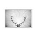 Picture of Forest King  _GroupedProduct_Rectangle_Landscape_Photography _GroupedProduct_Rectangle_Landscape_Framed_Matted_