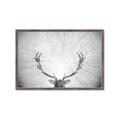 Picture of Forest King  _GroupedProduct_Rectangle_Landscape_Photography _GroupedProduct_Rectangle_Landscape_Framed_Matted_