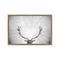 Picture of Forest King  _GroupedProduct_Rectangle_Landscape_Photography _GroupedProduct_Rectangle_Landscape_Framed_Matted_