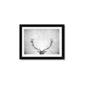 Picture of Forest King  _GroupedProduct_Rectangle_Landscape_Photography _GroupedProduct_Rectangle_Landscape_Framed_Matted_