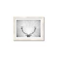 Picture of Forest King  _GroupedProduct_Rectangle_Landscape_Photography _GroupedProduct_Rectangle_Landscape_Framed_Matted_