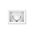 Picture of Forest King  _GroupedProduct_Rectangle_Landscape_Photography _GroupedProduct_Rectangle_Landscape_Framed_Matted_