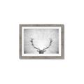 Picture of Forest King  _GroupedProduct_Rectangle_Landscape_Photography _GroupedProduct_Rectangle_Landscape_Framed_Matted_