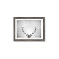 Picture of Forest King  _GroupedProduct_Rectangle_Landscape_Photography _GroupedProduct_Rectangle_Landscape_Framed_Matted_