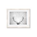 Picture of Forest King  _GroupedProduct_Rectangle_Landscape_Photography _GroupedProduct_Rectangle_Landscape_Framed_Matted_