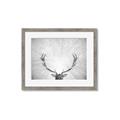 Picture of Forest King  _GroupedProduct_Rectangle_Landscape_Photography _GroupedProduct_Rectangle_Landscape_Framed_Matted_