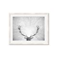 Picture of Forest King  _GroupedProduct_Rectangle_Landscape_Photography _GroupedProduct_Rectangle_Landscape_Framed_Matted_