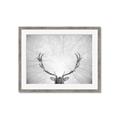 Picture of Forest King  _GroupedProduct_Rectangle_Landscape_Photography _GroupedProduct_Rectangle_Landscape_Framed_Matted_