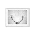 Picture of Forest King  _GroupedProduct_Rectangle_Landscape_Photography _GroupedProduct_Rectangle_Landscape_Framed_Matted_