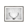 Picture of Forest King  _GroupedProduct_Rectangle_Landscape_Photography _GroupedProduct_Rectangle_Landscape_Framed_Matted_